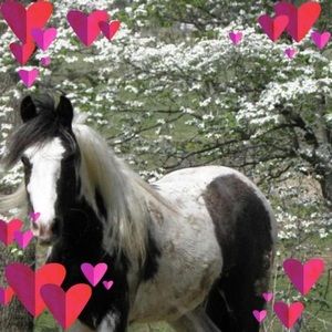 Meet your Posher, Stacy